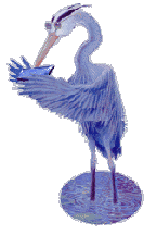 Great Blue blowin'harp